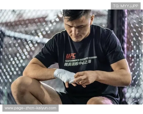 UFC连环组合拳太快，摄影机都糊掉画面