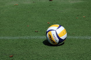 Kaiyun官方登录入口-女子排球世锦赛中国队逆转强敌夺冠，女子排球世锦赛几年一届